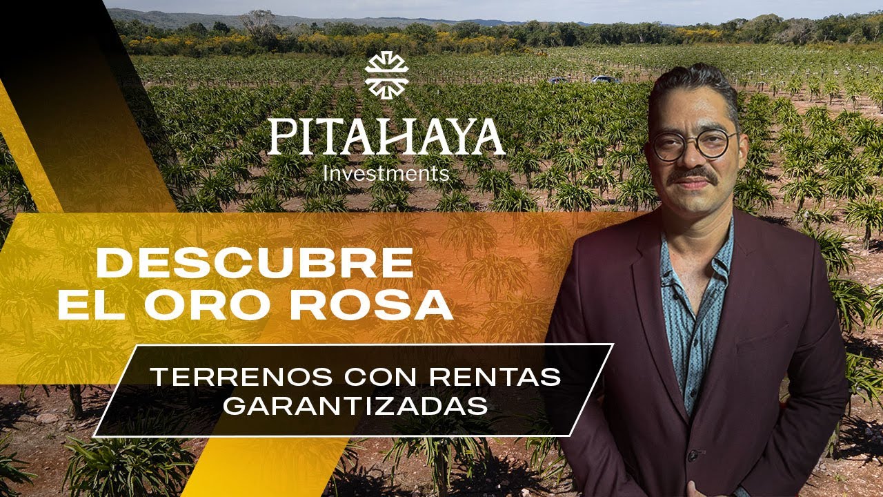 Pitahaya Investment: La oportunidad que estabas esperando