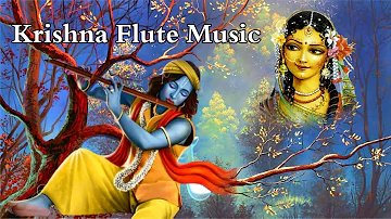 krishna flute Music, flute music for relaxing,Meditation flute for positive energy Morning Flute*306