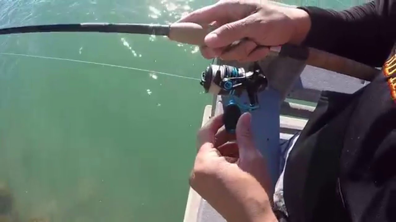 Rod and reel combo review - St.Croix Tidemaster / Quantum PTS 40 