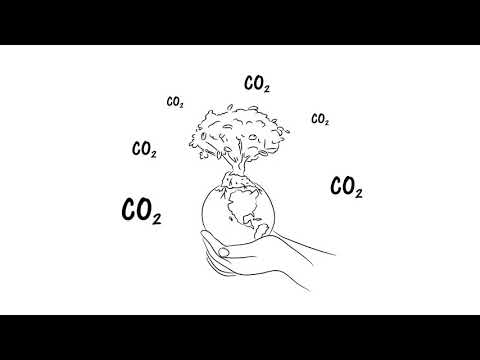 CO2-Preis und Brennstoffemissionshandelsgesetz - einfach erklärt!