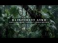 Relax, Sleep, or Study with Rainforest Rain, Thunder & Animals ASMR | 3-Hour #4k
