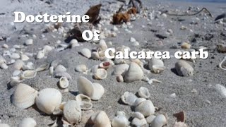 CALCAREA- Doctrine of signature