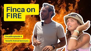 The animal sanctuary is on fire 😱🔥 | Fincalife ep. 4