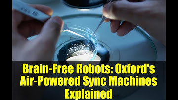 Brain-Free Robots: Oxford