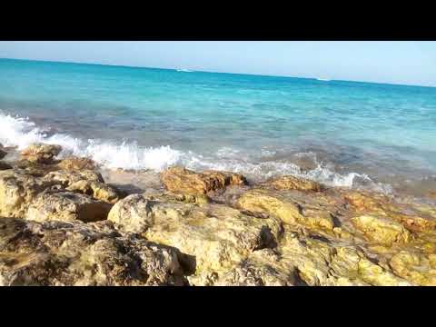 عايم في بحرالغدر 