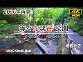 2026年園路通行再開! 等々力渓谷を散策/4K HDR