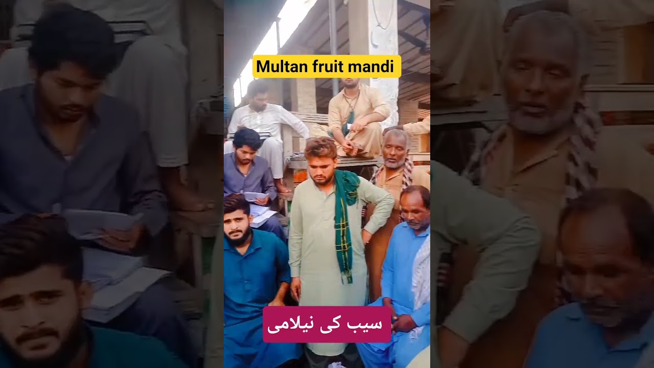 Multan fruit mandi Apple 🍎 ki nelami||