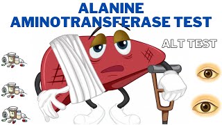 Alanine Aminotransferase (ALT) Test and Results - When should I worry about Alt? | 247nht