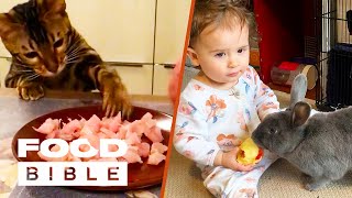 🐶 Food Thieves and Cooking Hacks 🍕 | FOODbible
