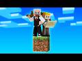 Two idiots vs one block survival  a minecraft movie