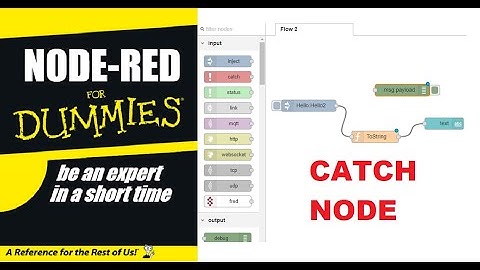 NODE RED FOR DUMMIES-CATCH NODE
