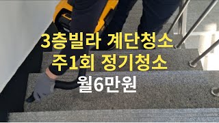 3층 빌라 계단청소 주1회 월6만원 30분씩