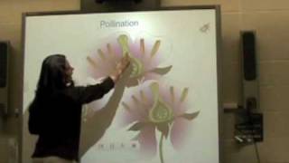 SMART Exemplary Educator Application Video by Suzanne Crawford
