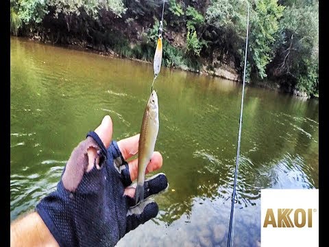 ქაშპეების  ჭერა სპინინგით AKKOI ყანყალაზე