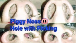 Piggy Nose hole With Picking || Piggy Nose Challenge