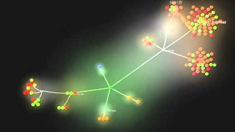 Gource - PhoeniX-Storms SVN