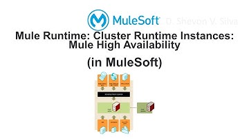 Mule Runtime: Cluster Runtime Instances: Mule High Availability (in MuleSoft)