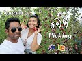 Cherry Picking Australia |ENG SUB| ඇති තරම් කාලා අරගෙනත් යන්න| MapPin Cherry Picking| Sinhala Vlog.