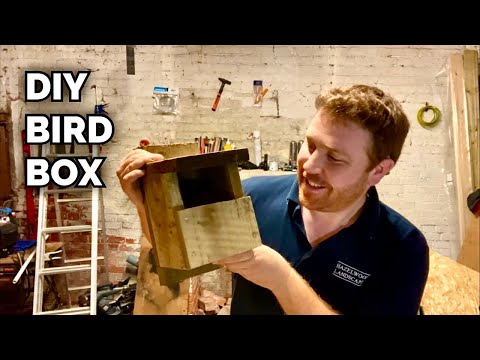 How To Make A Bird Box - Robin