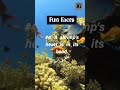 #fun facts #ocean #nature # life #brainblues # unknown