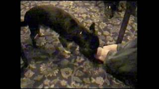 Timmis Foot Care - Timmis Fusspflege