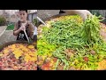 A Chinese Guy Cooked Free Meals for the elders on the Street in a Downtown Village