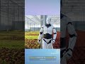 AI enters the cannabis space changing the industry forever