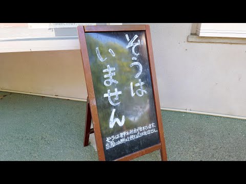 【大牟田再訪】三池港周辺の近代遺産巡りとみんな大好き大牟田市動物園(後)【大牟田市動物園編】