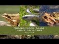 Natural World Facts Quiz