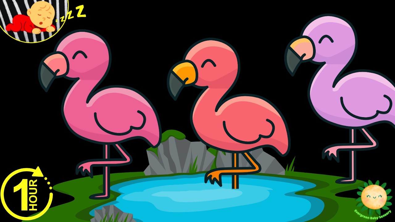 Baby Sensory Video | Calm Animals & Soothing Music | Visual Stimulation for Babies