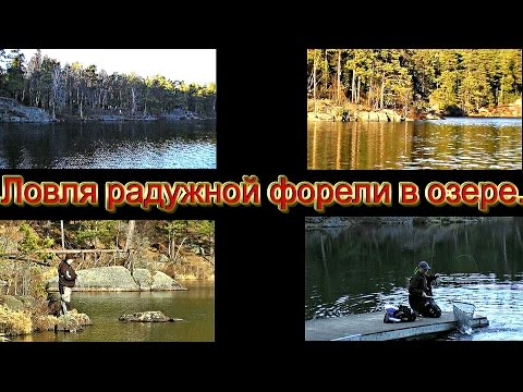 ловля форели в швеции