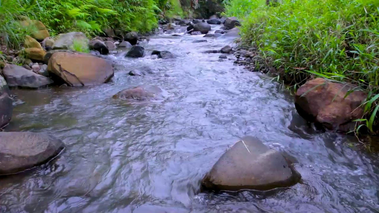 River Sounds to Calm Racing Thoughts | Deep Sleep Water Ambience Therapy