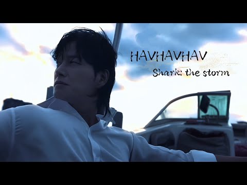 Hyun Woo Yong Shark The Storm HAVHAVHAV