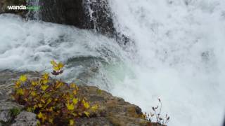 Cantábrico: Píldora Salmones