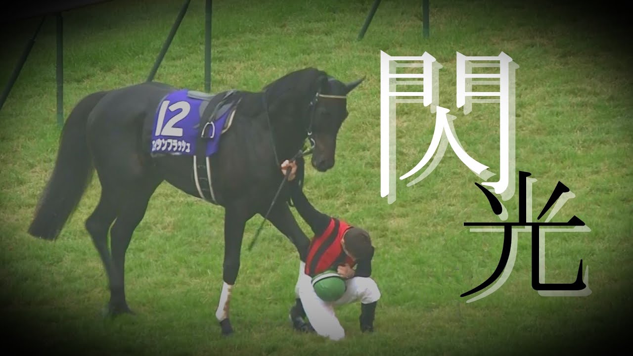 【期限切れ単勝馬券】　日本ダービー　2010 エイシンフラッシュ　ウマ娘 期限切れ単勝馬券】 日本ダービー 2010 エイシンフラッシュ ウマ
