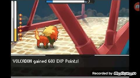 Evocreo part 11: I finally beat him!!