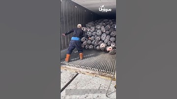 Unloading a shipping container filled with large fish