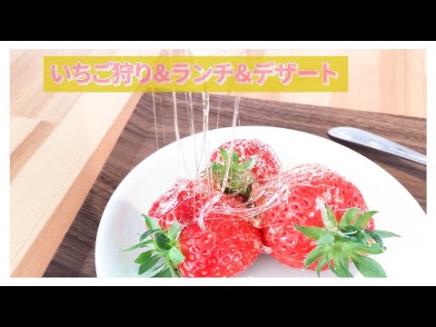 オンライン観光 いちご狩り みつばち農園カレー デザート Youtube