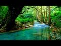 1 Hour of Beautiful Instrumental Hymns | Harp, Piano, Strings, & Orchestra