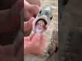 Tongue Eating Parasite 🪱🤯#shorts #fish #amazingfacts #shortsfeed