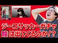 【ジーコサッカー】駿河屋で見つけた動作未確認のジーコサッカーの中身がSM調教師瞳か確認した結果…【レトロゲーム】