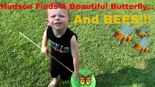 Hudson goes on a BUG HUNT backyard adventure! Real bugs! Finds a Beautiful BUTTERFLY!