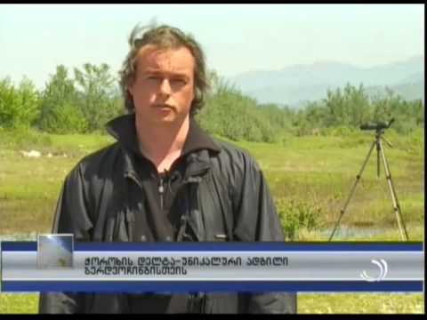 ჭოროხის დელტა - უნიკალური ადგილი ‘’ბერდვოჩინგისთვის’’
