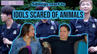 Siblings react to FUNNY!!!! Idols scared of animals (EXO, BTS, Apink) REACTION| FEATURE FRIDAY ✌