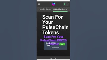 PulseChain PRC20 Token Scanner! Check Your ERC20s! #pulsechain #hex #cryptocurrency