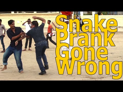 Guy Got Attacked Over a Prank Snake Prank Gone WrongThrusT uS Pranks in India 2016  YouTube