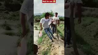 खाना ऊपर गिरा दिया 😱😂~ miniwood toy- woodworking art skill/ hands craft #shorts #funny