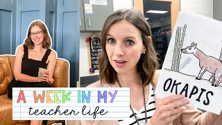 A WEEK IN MY TEACHER LIFE | detailed vlog, making plans, sharing animal research