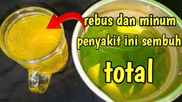 SULIT DIPERCAYA...!! MANFAAT  LUAR BIASA AIR REBUSAN DAUN KERSEN  BAGI KESEHATAN || Bautiful Herbal
