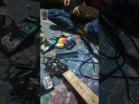 Cover Wali Melodi yank